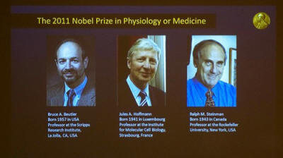 Nobel y học 2011